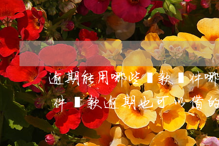 逾期能用哪些貸款軟件(哪個(gè)借錢軟件貸款逾期也可以借的)