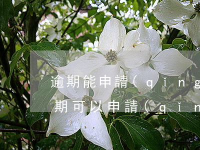 逾期能申請(qǐng)的信用卡（714逾期可以申請(qǐng)信用卡嗎）