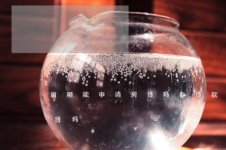 逾期能申请房贷吗(有贷款没逾期可以申请房贷吗)