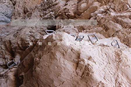 逾期能簽證嗎(簽證不小心逾期了)