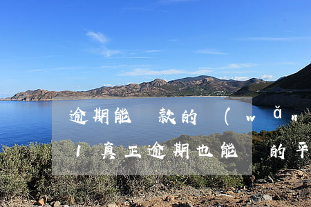 逾期能貸款的網(wǎng)貸平臺(2021真正逾期也能貸的平臺)