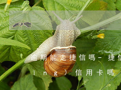 逾期能走捷信嗎-捷信逾期了可以申請(qǐng)信用卡嗎