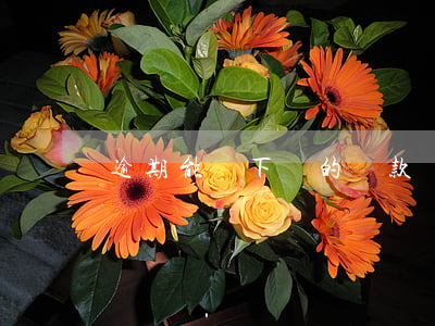逾期能辦下來的貸款嗎(有逾期還能辦貸款嗎)