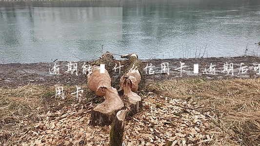 逾期能辦什么信用卡嗎(逾期后可以辦什么信用卡)