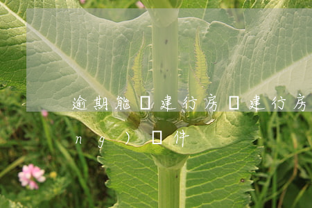 逾期能辦建行房貸(建行房貸延期申請(qǐng)條件)