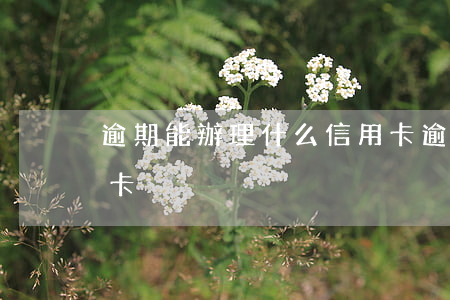 逾期能辦理什么信用卡(逾期是否可以辦信用卡)