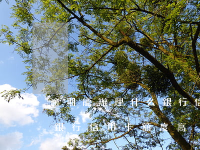 逾期能辦理什么銀行信用卡(逾期能辦理什么銀行信用卡額度高)