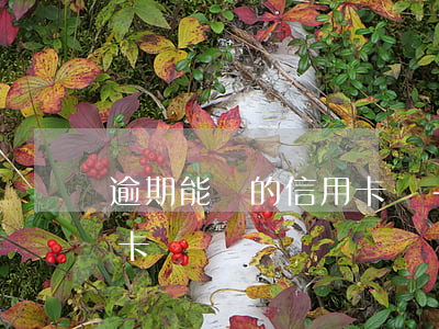 逾期能辦的信用卡嗎-有逾期過可以辦信用卡嗎