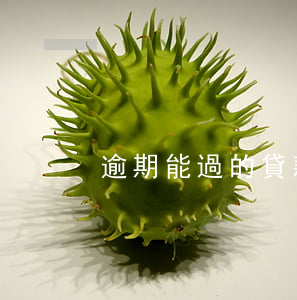 逾期能過的貸款買房嗎(房貸逾期能貸款嗎)