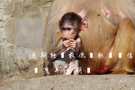 逾期能還最低還款額嗎（信用卡只還最低還款額度算逾期嗎）