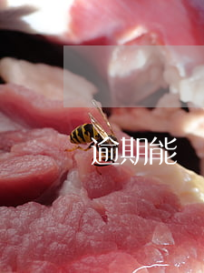 逾期能開(kāi)啟隨借隨還嗎