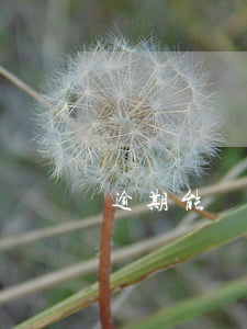 逾期能開通信用卡嗎(有逾期能辦信用卡不)