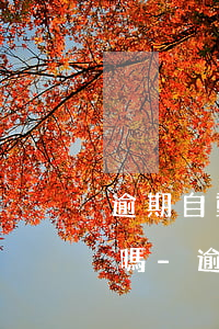 逾期自動劃走儲蓄卡錢可以協(xié)商嗎-逾期自動劃走儲蓄卡錢可以協(xié)商嗎怎么辦