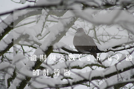 逾期與天數(shù)(逾期天數(shù)的計算器)