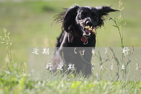 逾期興業(yè)銀行談還款(興業(yè)銀行逾期協(xié)商不能分期要一次性還款)