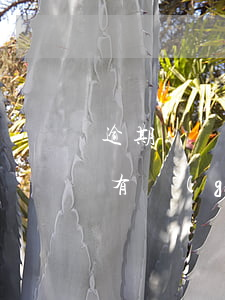 逾期舉證的法律后果有-逾期舉證法律后果有關(guān)的法條
