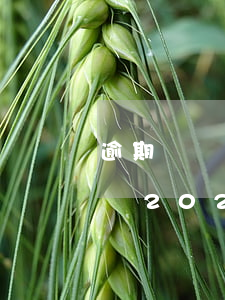 逾期舉證罰款新證據(jù)規(guī)則2020-逾期舉證罰款新證據(jù)規(guī)則2020年