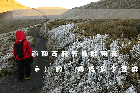 逾期芝麻分低能用花唄嗎(花唄逾期半個(gè)月會降低多少芝麻信用分)