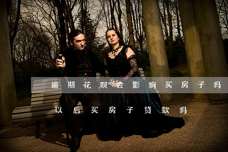 逾期花呗会影响买房子吗(花呗逾期了会影响以后买房子贷款吗)