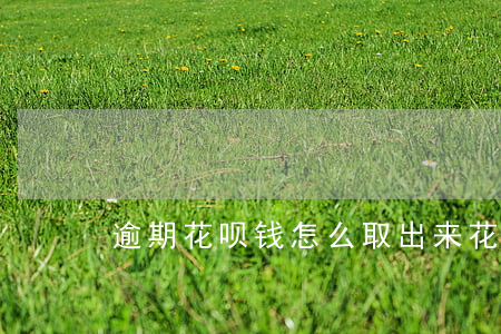 逾期花呗钱怎么取出来(花呗的钱能取出来吗)
