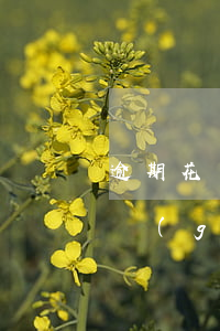 逾期花唄6個(gè)月被起訴(逾期花唄6個(gè)月被起訴)