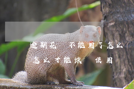 逾期花唄不能用了怎么辦(花唄逾期不能使用 怎么才能恢復使用)