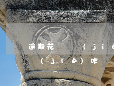 逾期花唄凍結(jié)怎么解凍(花唄被凍結(jié)咋辦)