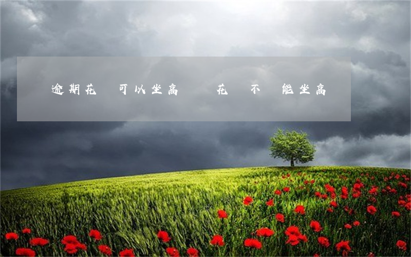 逾期花唄可以坐高鐵嗎(花唄不還能坐高鐵嗎)
