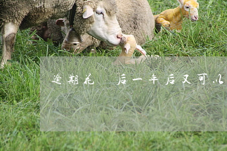逾期花唄后一年后又可以開通使用