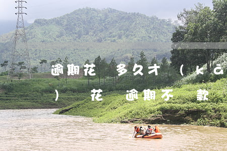 逾期花唄多久才開(kāi)始嚴(yán)懲(花唄逾期不還款會(huì)受到什么樣的懲罰)