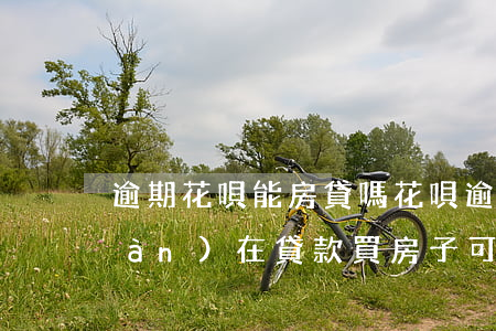 逾期花唄能房貸嗎(花唄逾期還完了現(xiàn)在貸款買房子可以用嗎?)