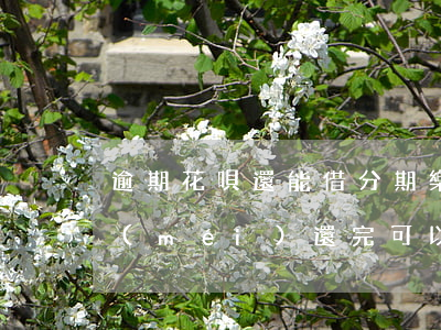 逾期花唄還能借分期樂(lè)嗎-花唄沒(méi)還完可以借分期樂(lè)嗎