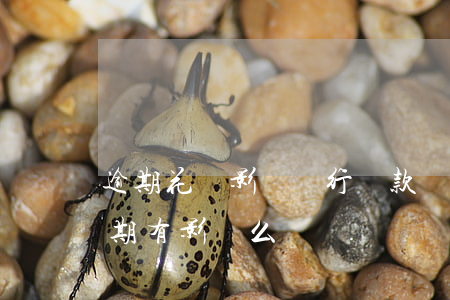 逾期花會影響銀行貸款嗎(不是銀行的貸款逾期有影響么)