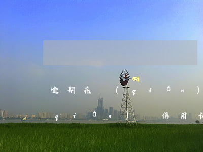 逾期花錢(qián)辦信用卡(逾期花錢(qián)辦信用卡會(huì)怎么樣)