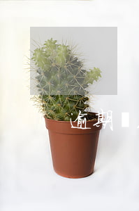 逾期處理了五年后還能辦信用卡嗎
