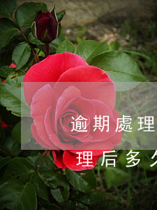 逾期處理后多久能申請信用卡分期-逾期處理后多久能申請信用卡分期還款
