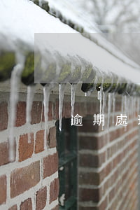 逾期處理方法（逾期如何解決）