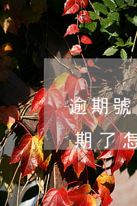 逾期號(hào)碼失效了怎么辦(不小心逾期了怎么辦)