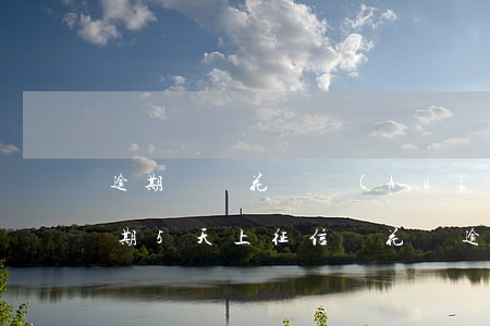逾期螞蟻花唄會(huì)扣征信嗎(花唄逾期5天上征信嗎?花唄逾期有什么后果)