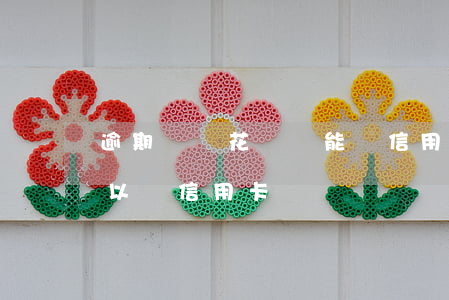 逾期螞蟻花唄還能辦信用卡(花唄逾期可不可以辦信用卡)
