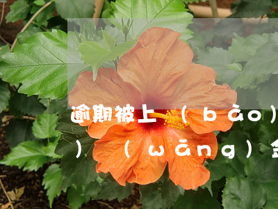 逾期被上報(bào)中國互聯(lián)網(wǎng)金融協(xié)會(huì)(逾期被上報(bào)中國互聯(lián)網(wǎng)金融協(xié)會(huì)怎么辦)