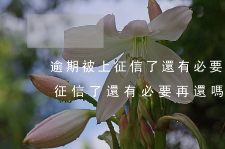 逾期被上征信了還有必要再還嗎-逾期被上征信了還有必要再還嗎知乎