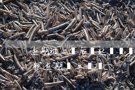 逾期被上門后會起訴嗎(現(xiàn)在貸款逾期會上門嗎?)