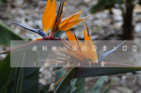 逾期被人保起訴要上門資產(chǎn)調(diào)查