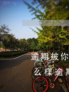 逾期被你我貸告了會怎么樣(你我貸逾期會怎么樣?逾期后果嚴重嗎?)