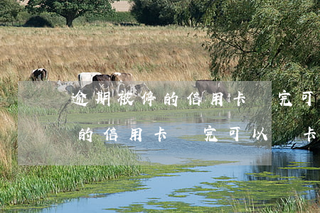逾期被停的信用卡還完可以銷卡-逾期被停的信用卡還完可以銷卡嗎