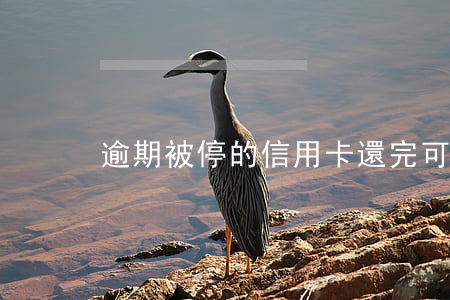 逾期被停的信用卡還完可以銷卡