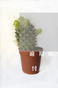 逾期被催收(逾期被催收怎么應(yīng)付)