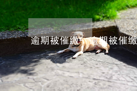 逾期被催缴-逾期被催缴并诉前通知函
