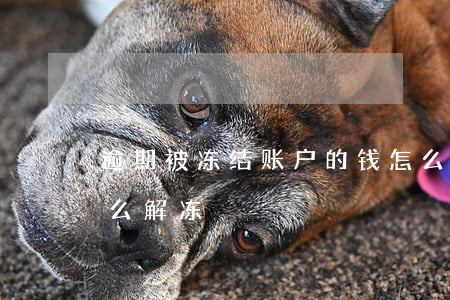 逾期被冻结账户的钱怎么办 欠钱冻结账户怎么解冻